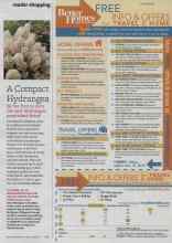 Better Homes & Gardens October 2012 Magazine Article: A Compact Hydrangea
