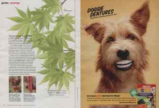 Better Homes & Gardens October 2012 Magazine Article: Page 96