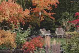 Better Homes & Gardens October 2012 Magazine Article: Page 98