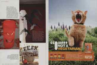 Better Homes & Gardens October 2012 Magazine Article: Page 192