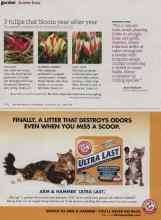 Better Homes & Gardens November 2012 Magazine Article: 3 tulips that bloom year after year