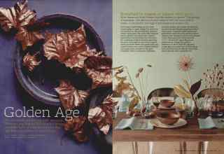 Better Homes & Gardens November 2012 Magazine Article: Golden Age