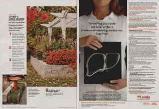 Better Homes & Gardens November 2012 Magazine Article: Page 94