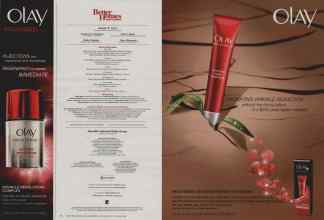 Better Homes & Gardens December 2012 Magazine Article: Page 10