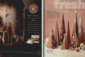 Better Homes & Gardens December 2012 Magazine Article: Page 14