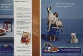 Better Homes & Gardens December 2012 Magazine Article: Page 72