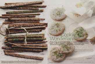 Better Homes & Gardens December 2012 Magazine Article: Page 132