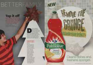 Better Homes & Gardens December 2012 Magazine Article: Page 206