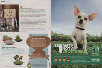 Better Homes & Gardens January 2013 Magazine Article: Page 32