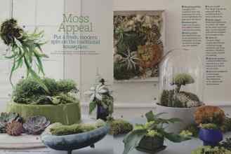 Better Homes & Gardens January 2013 Magazine Article: Moss Appeal