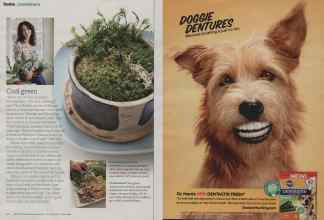 Better Homes & Gardens January 2013 Magazine Article: Page 40