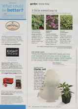 Better Homes & Gardens February 2013 Magazine Article: 3 little sweethearts