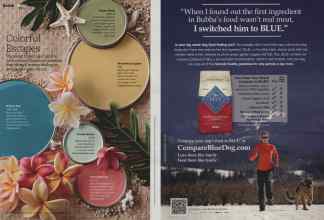 Better Homes & Gardens February 2013 Magazine Article: Page 36