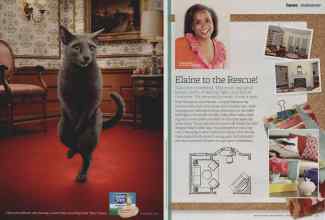 Better Homes & Gardens February 2013 Magazine Article: Page 52