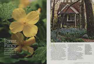 Better Homes & Gardens February 2013 Magazine Article: Forest Fancy