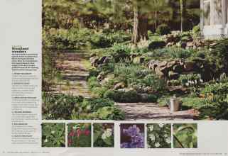 Better Homes & Gardens February 2013 Magazine Article: Page 72