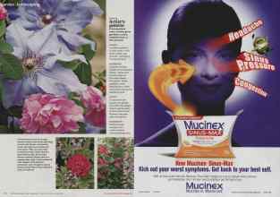 Better Homes & Gardens February 2013 Magazine Article: Page 80