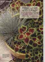 Better Homes & Gardens March 2013 Magazine Article: Fresh Looks with Foliage