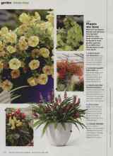 Better Homes & Gardens March 2013 Magazine Article: Plants we love