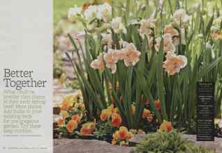 Better Homes & Gardens March 2013 Magazine Article: Better Together