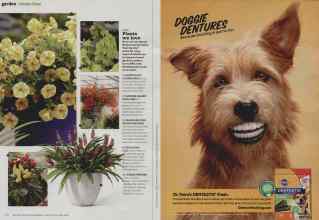 Better Homes & Gardens March 2013 Magazine Article: Page 110