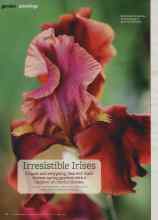 Better Homes & Gardens April 2013 Magazine Article: Irresistible Irises