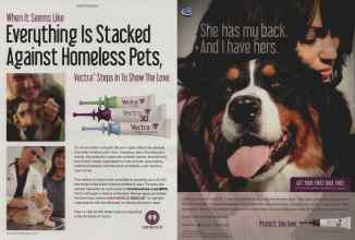 Better Homes & Gardens April 2013 Magazine Article: Page 48