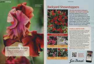 Better Homes & Gardens April 2013 Magazine Article: Page 88