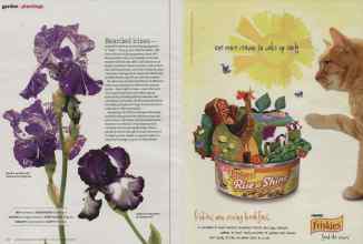 Better Homes & Gardens April 2013 Magazine Article: Page 90