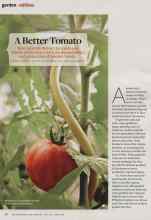 Better Homes & Gardens May 2013 Magazine Article: A Better Tomato