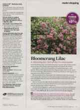 Better Homes & Gardens June 2013 Magazine Article: Bloomerang Lilac