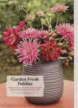 Better Homes & Gardens June 2013 Magazine Article: Garden-Fresh Dahlias