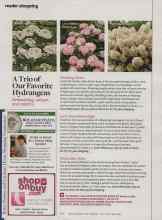 Better Homes & Gardens June 2013 Magazine Article: A Trio of Our Favorite Hydrangeas