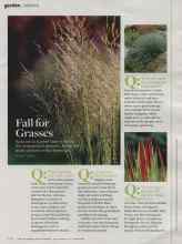 Better Homes & Gardens September 2013 Magazine Article: Fall for Grasses