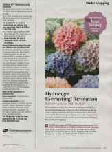 Better Homes & Gardens September 2013 Magazine Article: Hydrangea Everlasting Revolution
