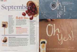 Better Homes & Gardens September 2013 Magazine Article: Page 18