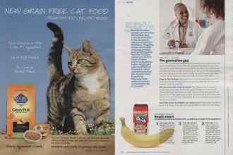 Better Homes & Gardens September 2013 Magazine Article: Page 191