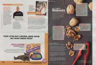 Better Homes & Gardens September 2013 Magazine Article: Page 207