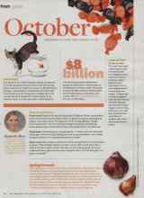 Better Homes & Gardens October 2013 Magazine Article: Cool cats