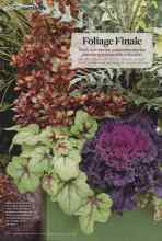 Better Homes & Gardens October 2013 Magazine Article: Foliage Finale