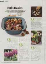 Better Homes & Gardens October 2013 Magazine Article: Bulb Basics