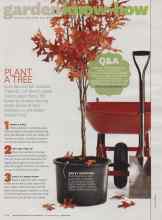 Better Homes & Gardens October 2013 Magazine Article: PLANT A TREE