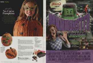 Better Homes & Gardens October 2013 Magazine Article: Page 176