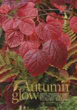 Better Homes & Gardens November 2013 Magazine Article: Autumn glow