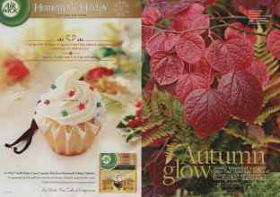 Better Homes & Gardens November 2013 Magazine Article: Page 66