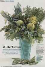 Better Homes & Gardens December 2013 Magazine Article: Winter Greens