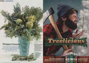 Better Homes & Gardens December 2013 Magazine Article: Page 58