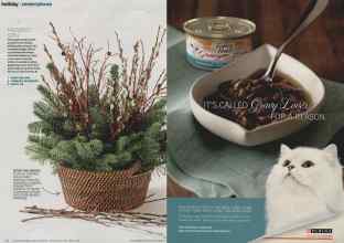 Better Homes & Gardens December 2013 Magazine Article: Page 64