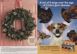 Better Homes & Gardens December 2013 Magazine Article: Page 90