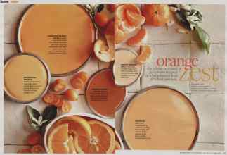 Better Homes & Gardens January 2014 Magazine Article: Orange Zest